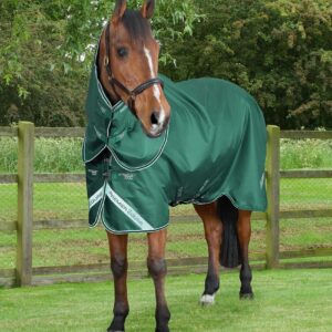 PE Stratus 600D Series 100g Turnout Rug with Classic Neck Cover
